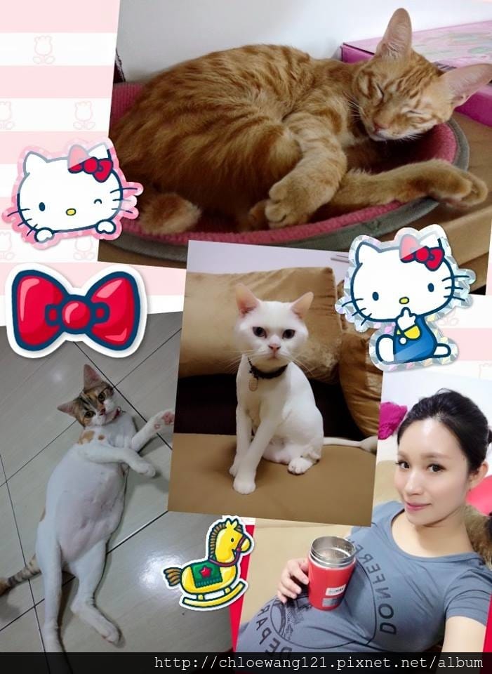 11058783_10152693482481205_701024387830252607.jpg 11058783_10152693482481205_701024387830252607.jpg