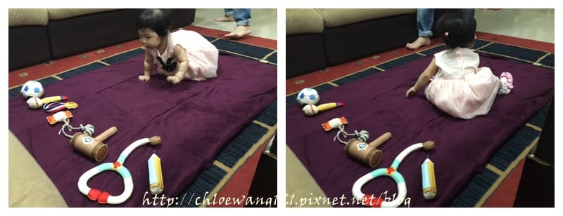 cats587.jpg cats587.jpg