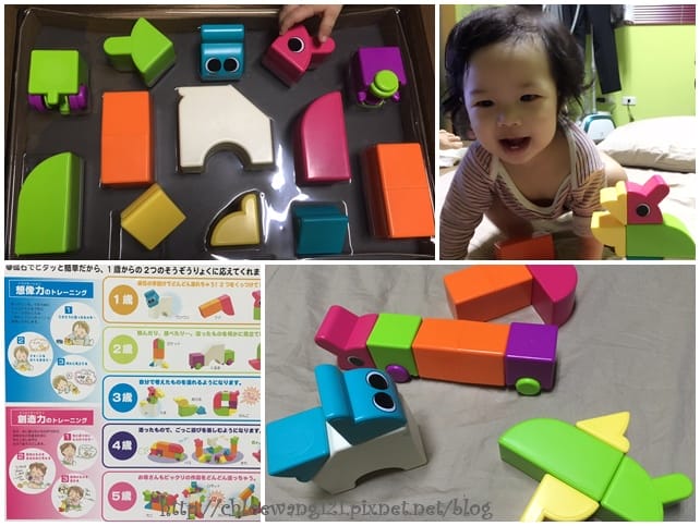 cats11.jpg cats11.jpg