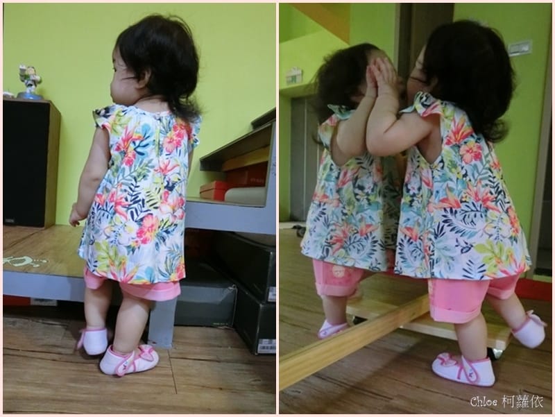 cats123.jpg cats123.jpg