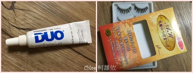 cats28.jpg cats28.jpg