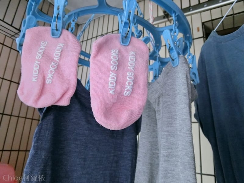 CIMG1262.JPG CIMG1262.JPG