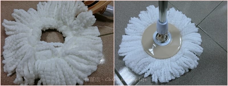 cats66.jpg cats66.jpg