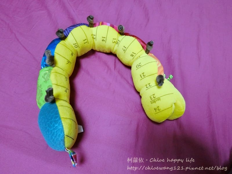 CIMG1957.JPG CIMG1957.JPG