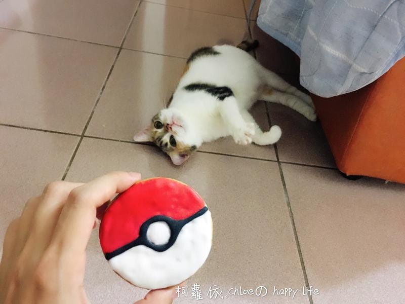 large_7e964cc8b9c4e06c.jpg large_7e964cc8b9c4e06c.jpg