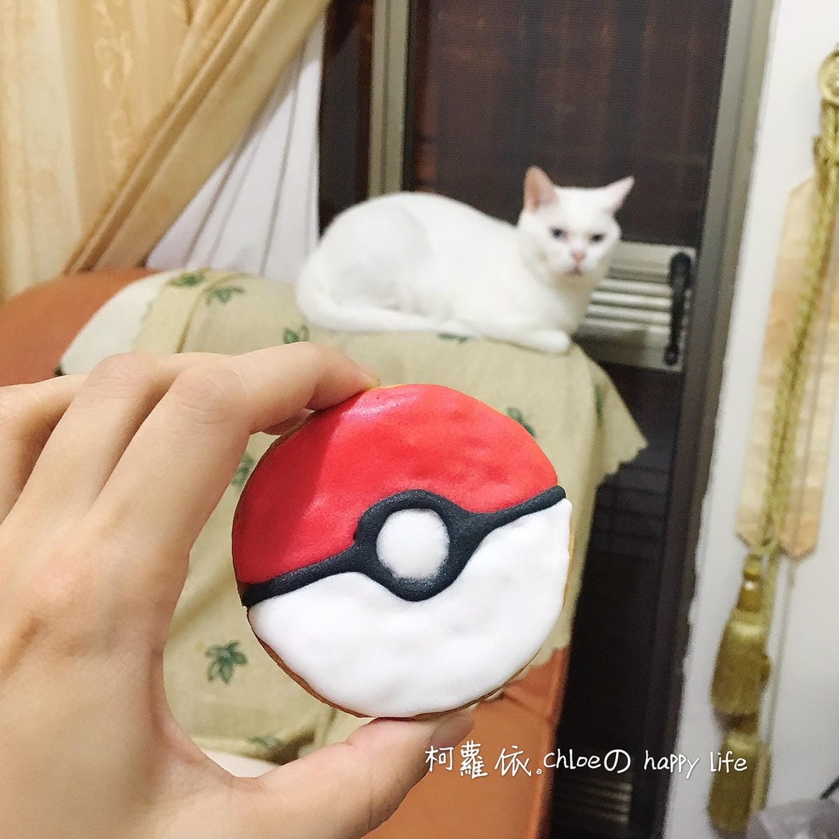 IMG_8501.JPG IMG_8501.JPG