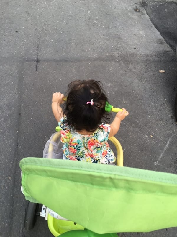 IMG_9022.JPG IMG_9022.JPG