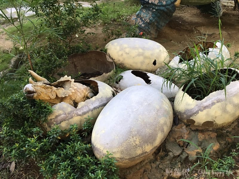 IMG_8869.JPG IMG_8869.JPG