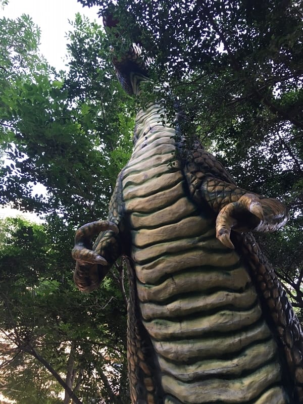 IMG_8876.JPG IMG_8876.JPG