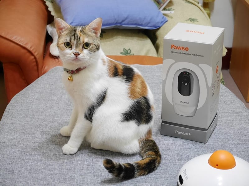 P1010256.JPG P1010256.JPG