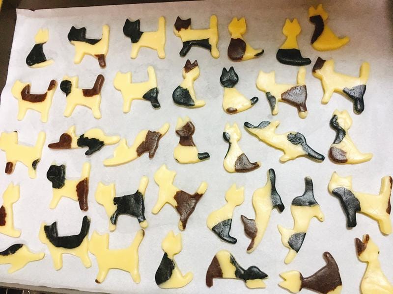 large_b06cd1292e10b211.jpg large_b06cd1292e10b211.jpg