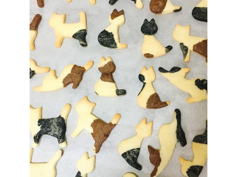 large_3cde7fd610686021.jpg large_3cde7fd610686021.jpg