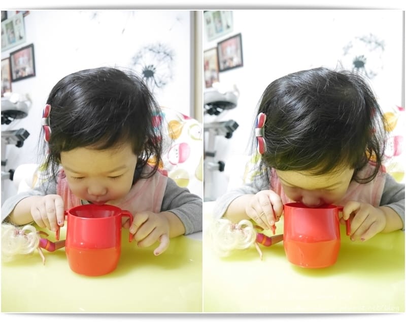 cats23.jpg cats23.jpg