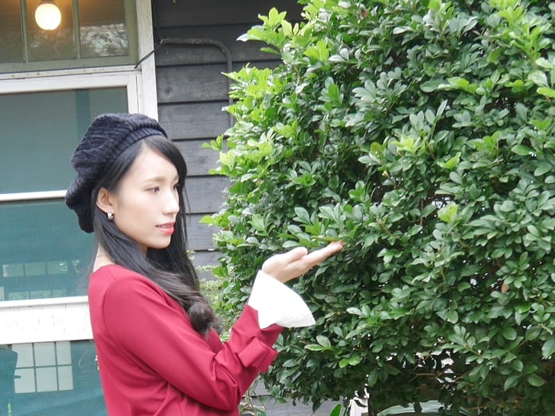 P1050681.JPG P1050681.JPG