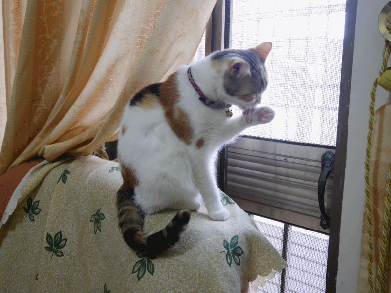 anigif.gif anigif.gif