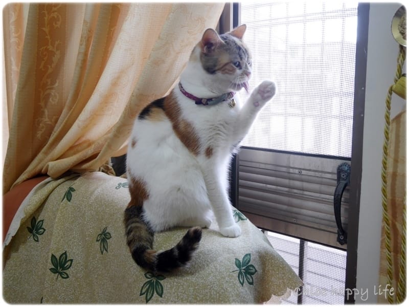 P1070003.JPG P1070003.JPG