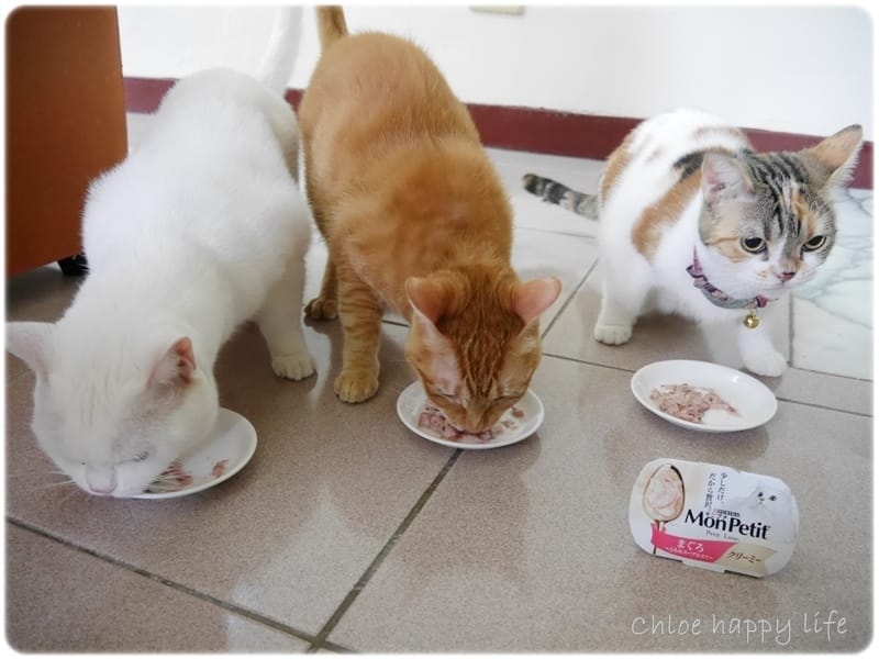 P1060952.JPG P1060952.JPG