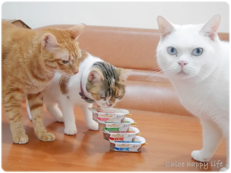 P1060932.JPG P1060932.JPG