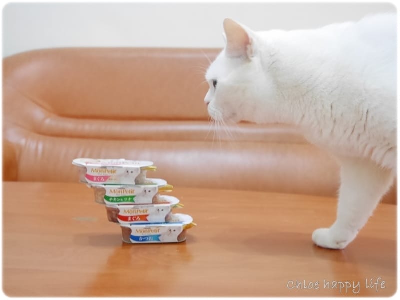 P1060925.JPG P1060925.JPG