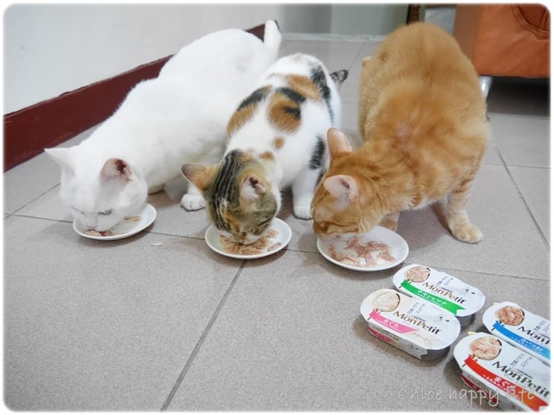 P1060971.JPG P1060971.JPG