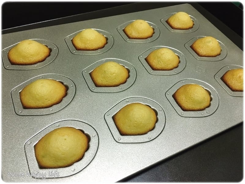 IMG_5173.JPG IMG_5173.JPG