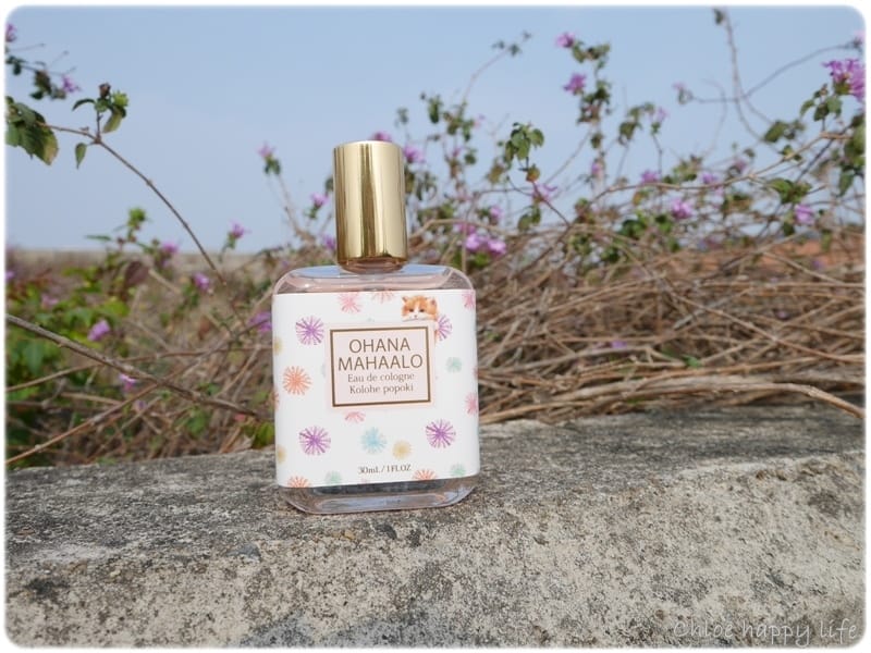 P1100558.JPG P1100558.JPG