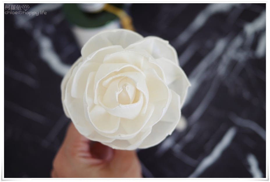 日本Art Lab「伯爵系列」室內香氛花- 玫瑰花_08.JPG 日本Art Lab「伯爵系列」室內香氛花- 玫瑰花_08.JPG