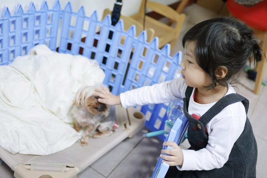 淨毒五郎除臭噴霧11.JPG 淨毒五郎除臭噴霧11.JPG