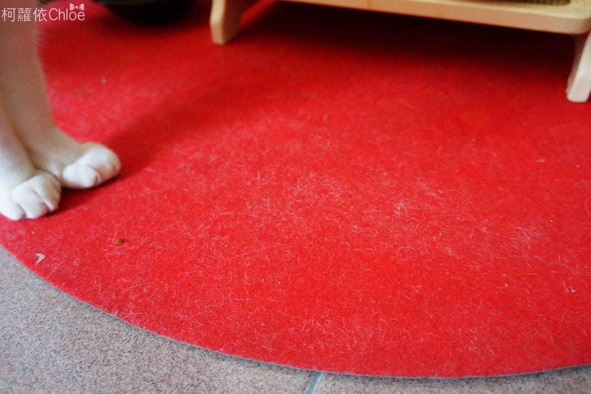 海爾 無線手持吸塵器-寵物專業配件組 (10合1)26.JPG 海爾 無線手持吸塵器-寵物專業配件組 (10合1)26.JPG