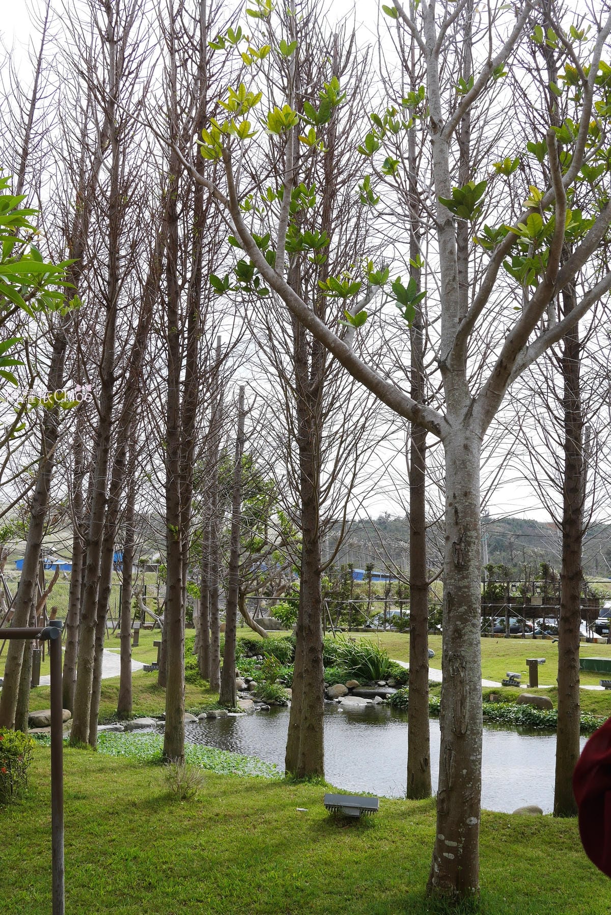 渡假婚禮 墾丁永豐棧後壁湖畔 婚宴試菜32.JPG 渡假婚禮 墾丁永豐棧後壁湖畔 婚宴試菜32.JPG