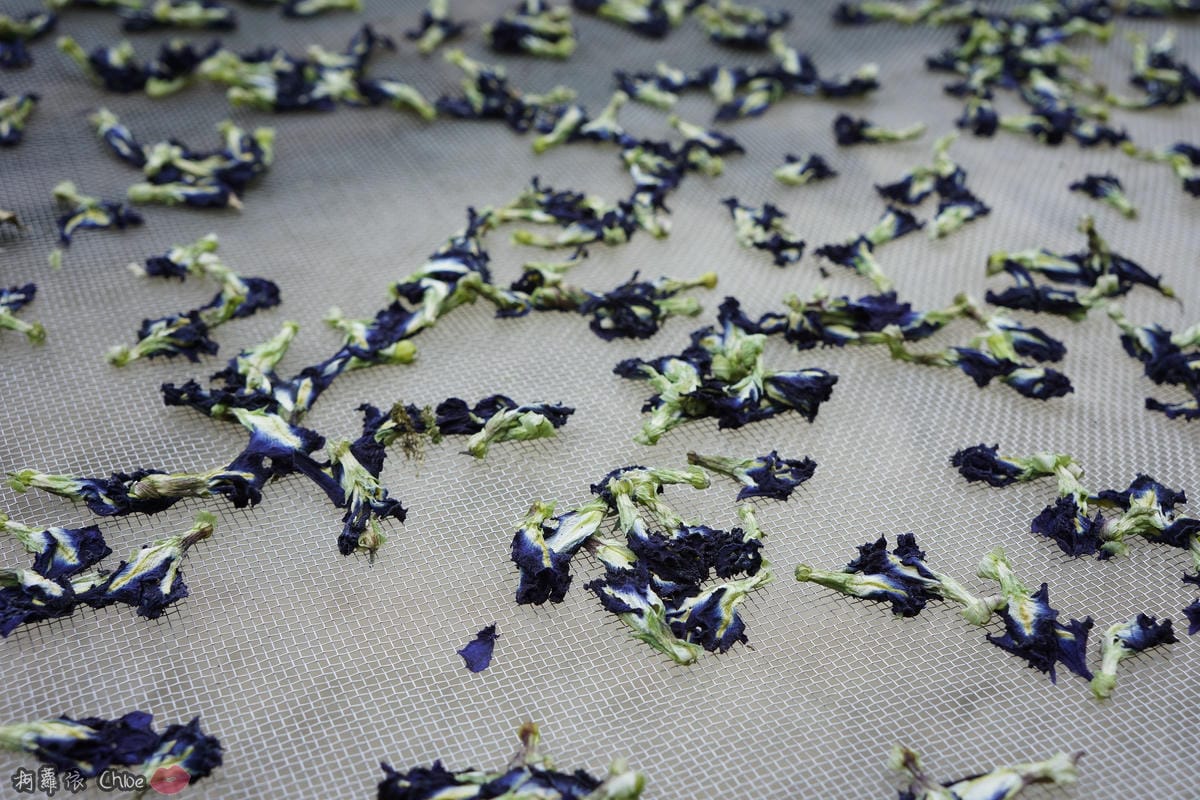 親子旅遊景點 台南一日遊 崎聚農創市集 龍崎IG打卡秘境景點 行程規劃76.JPG