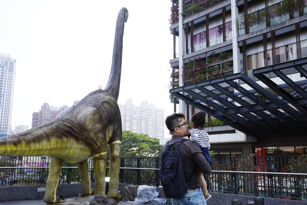 夠輕量、專利止滑背帶更好背!平板、筆記型電腦通通好收納。英國I-Stay 活力輕量電腦後背包21.JPG 夠輕量、專利止滑背帶更好背!平板、筆記型電腦通通好收納。英國I-Stay 活力輕量電腦後背包21.JPG