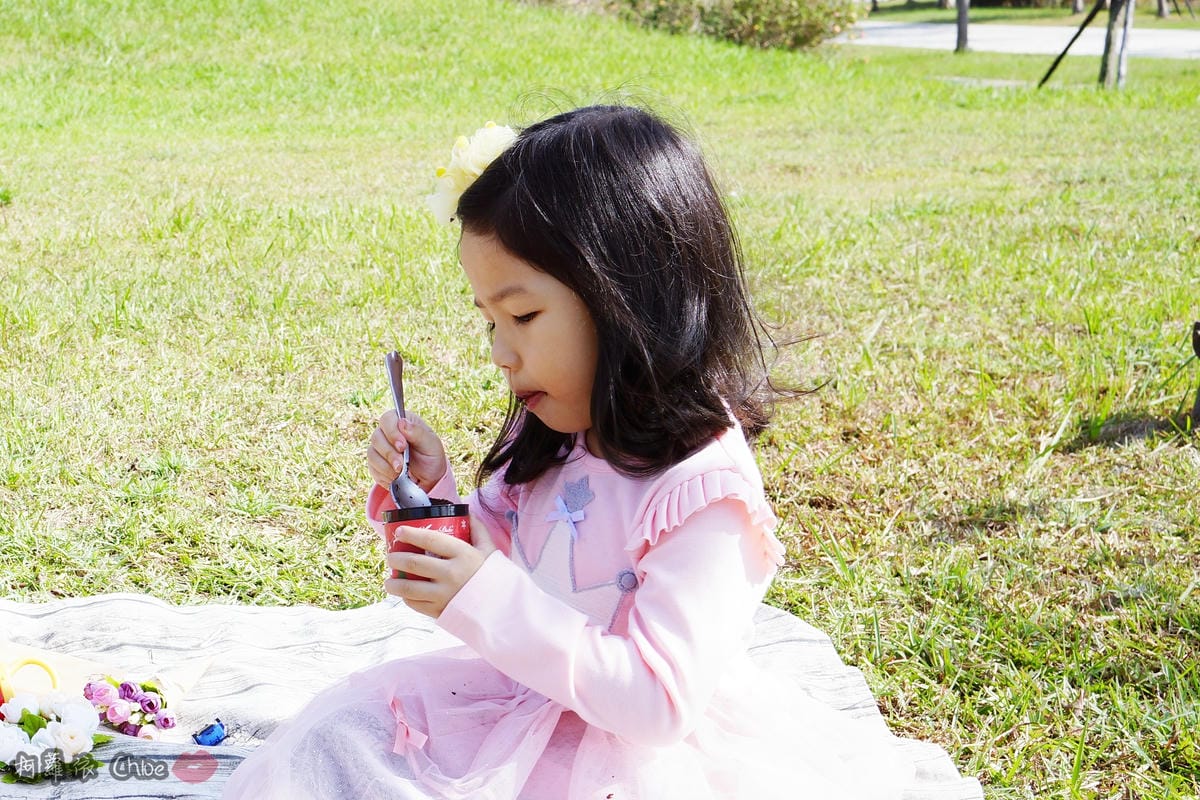 聖誕派對甜點 就用台南起士公爵 小小公爵來滿足大家的味蕾12.JPG 聖誕派對甜點 就用台南起士公爵 小小公爵來滿足大家的味蕾12.JPG