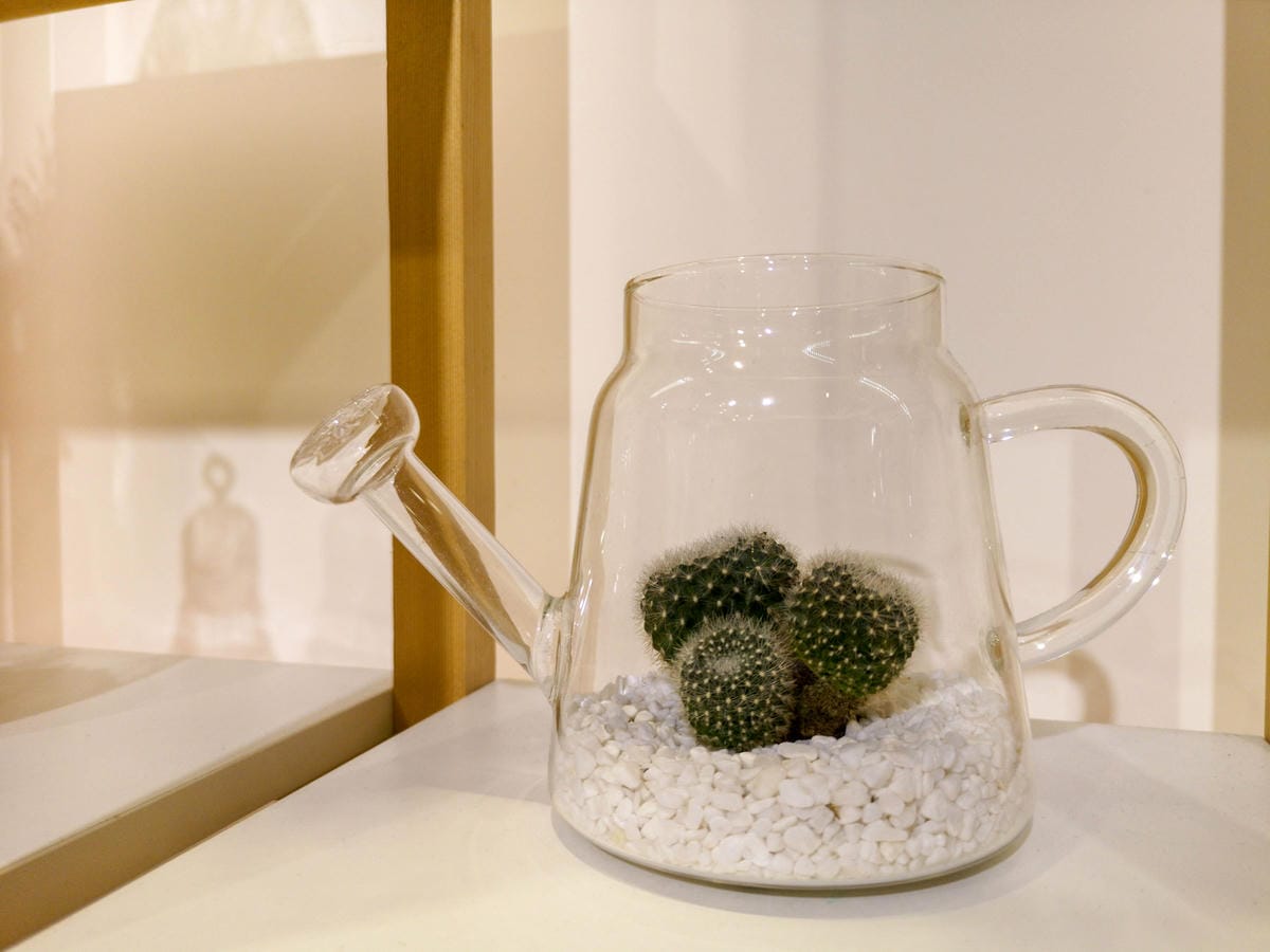 台中草悟道住宿　綠宿行旅Green Hotel　環保旅店榮獲三星級　LED心之光牆放煙火親子互動更有趣２８Ａ.jpg