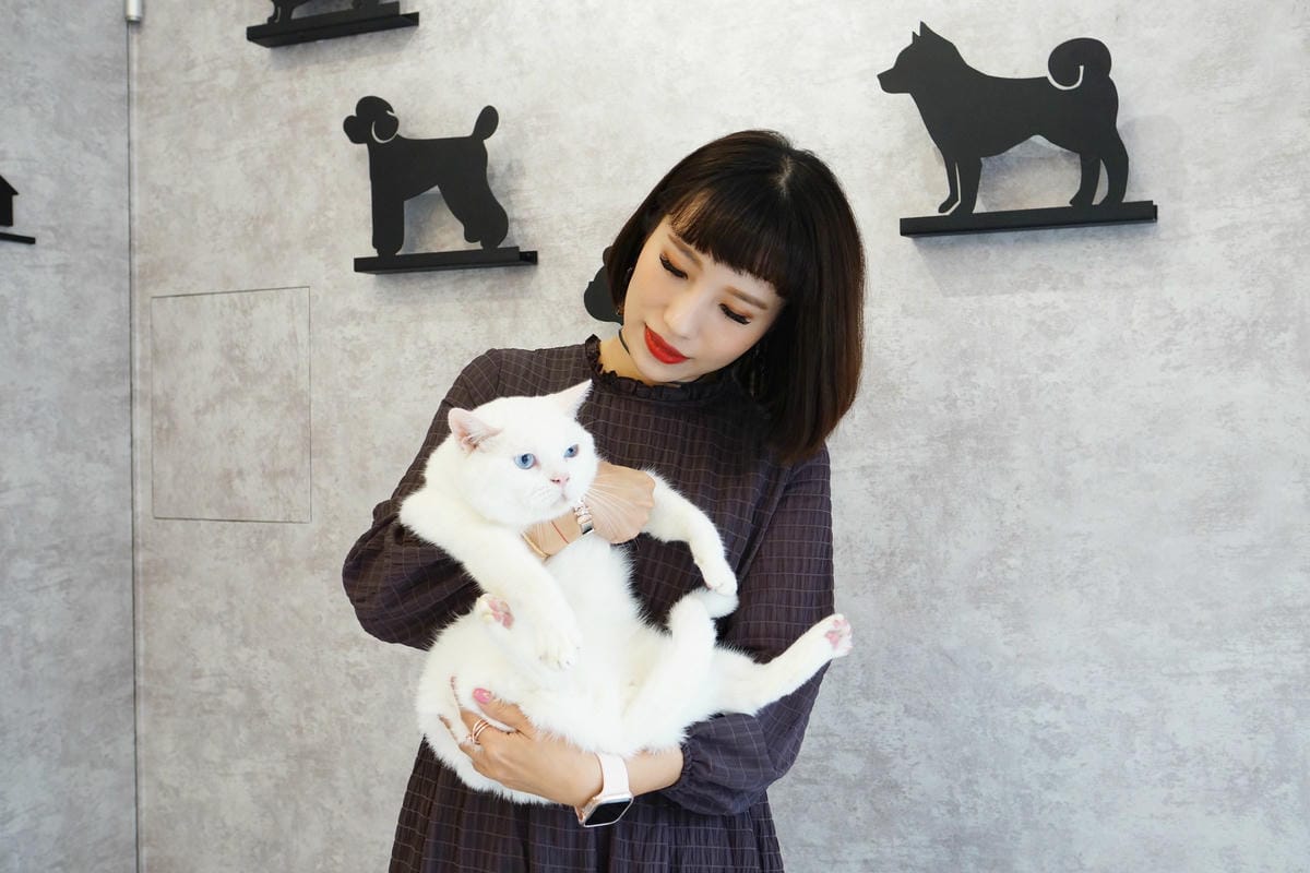 高雄 Cafedog寵物沙龍 寵物美容x網美咖啡廳複合店 優質服務和時尚空間 給毛小孩舒適SPA美容52.JPG