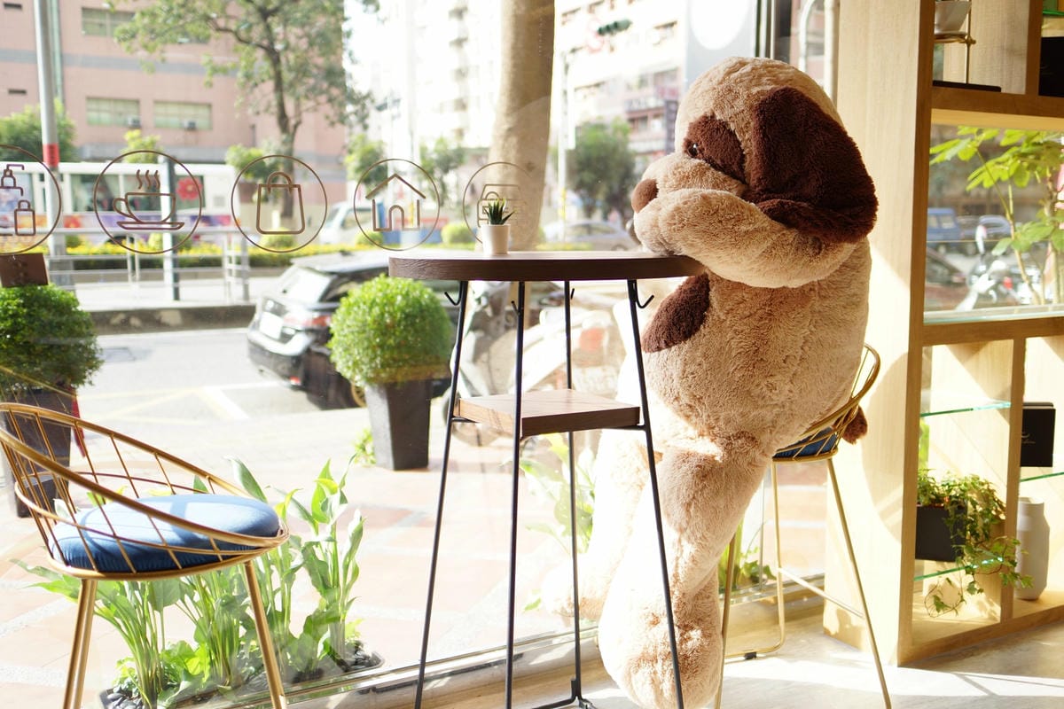 高雄 Cafedog寵物沙龍 寵物美容x網美咖啡廳複合店 優質服務和時尚空間 給毛小孩舒適SPA美容44.JPG