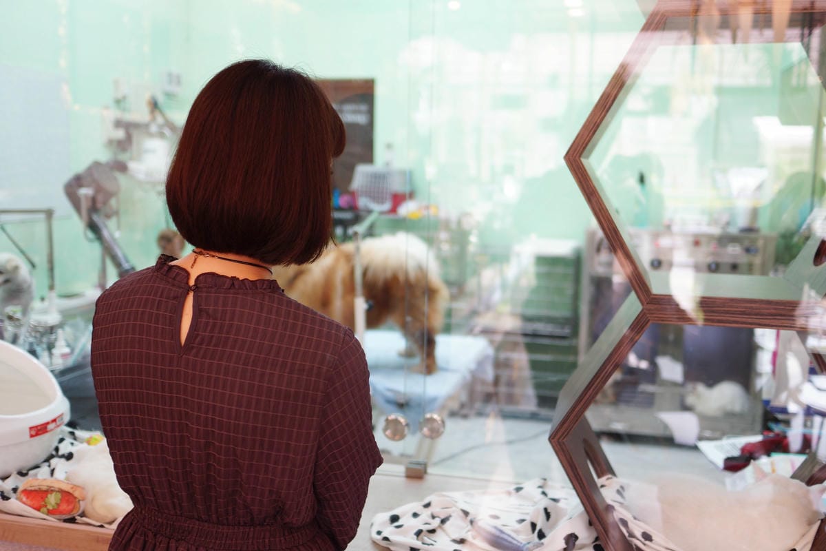 高雄 Cafedog寵物沙龍 寵物美容x網美咖啡廳複合店 優質服務和時尚空間 給毛小孩舒適SPA美容13.JPG