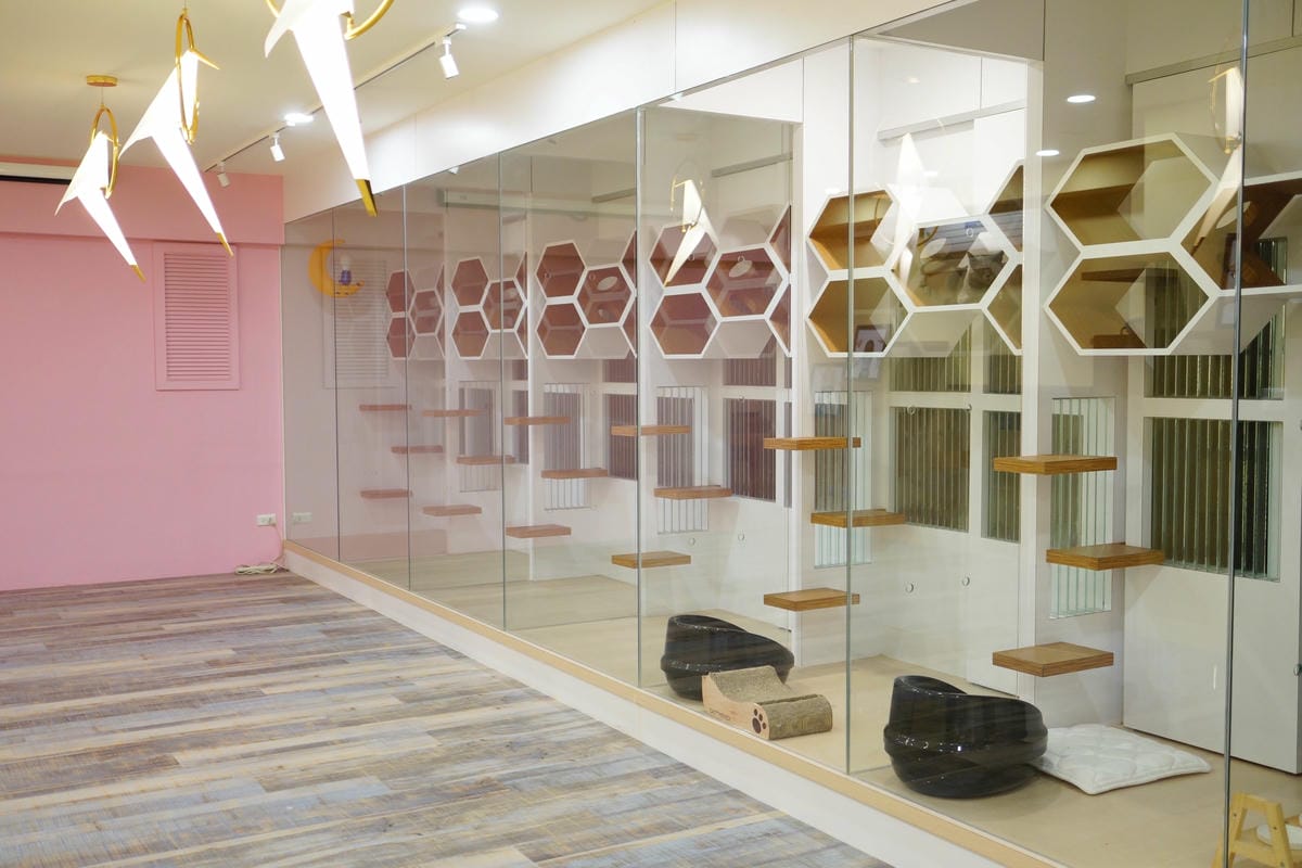 高雄 Cafedog寵物沙龍 寵物美容x網美咖啡廳複合店 優質服務和時尚空間 給毛小孩舒適SPA美容22.JPG