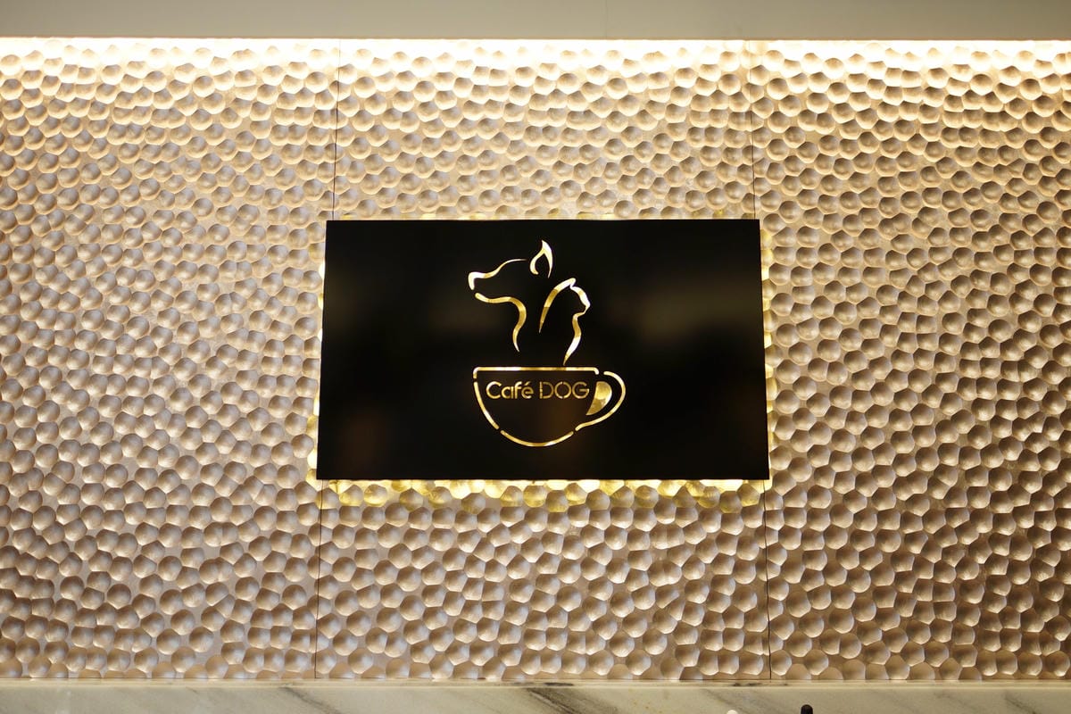 高雄 Cafedog寵物沙龍 寵物美容x網美咖啡廳複合店 優質服務和時尚空間 給毛小孩舒適SPA美容55.JPG