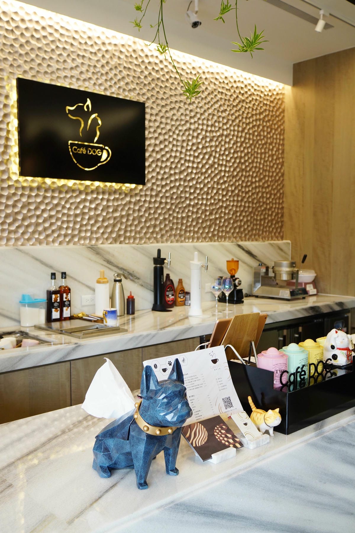 高雄 Cafedog寵物沙龍 寵物美容x網美咖啡廳複合店 優質服務和時尚空間 給毛小孩舒適SPA美容48.JPG