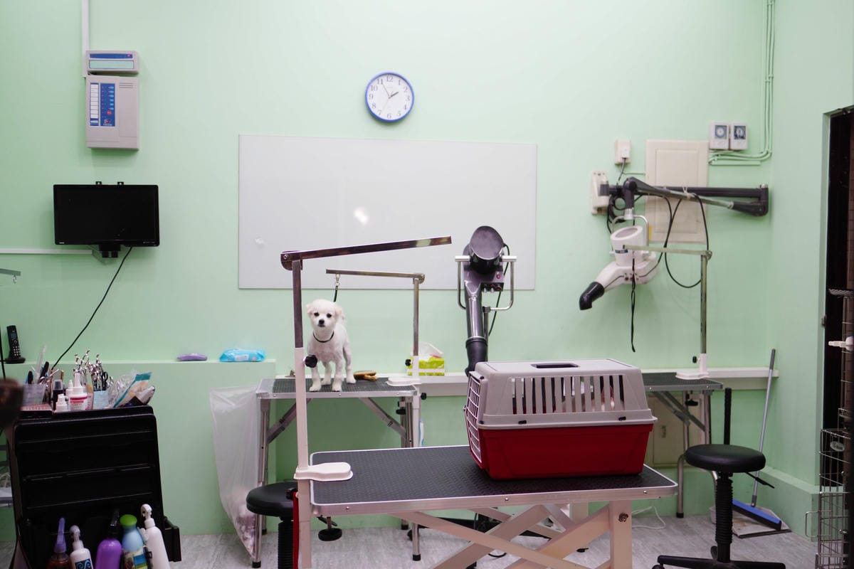 高雄 Cafedog寵物沙龍 寵物美容x網美咖啡廳複合店 優質服務和時尚空間 給毛小孩舒適SPA美容11.JPG