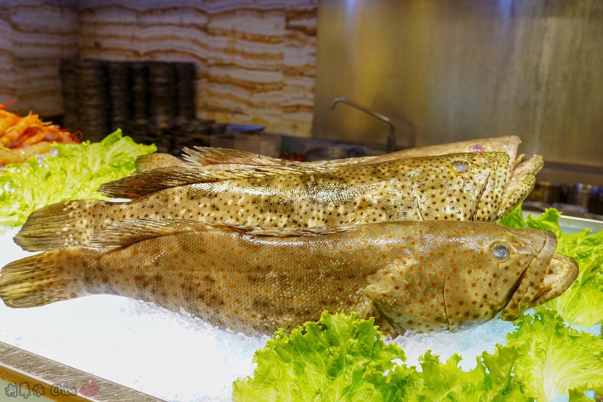 高雄自助餐推薦 林皇宮森林百匯自助餐Buffet 八大主題近500道菜色超豐富 加價美味龍蝦送上桌45.jpg 高雄自助餐推薦 林皇宮森林百匯自助餐Buffet 八大主題近500道菜色超豐富 加價美味龍蝦送上桌45.jpg
