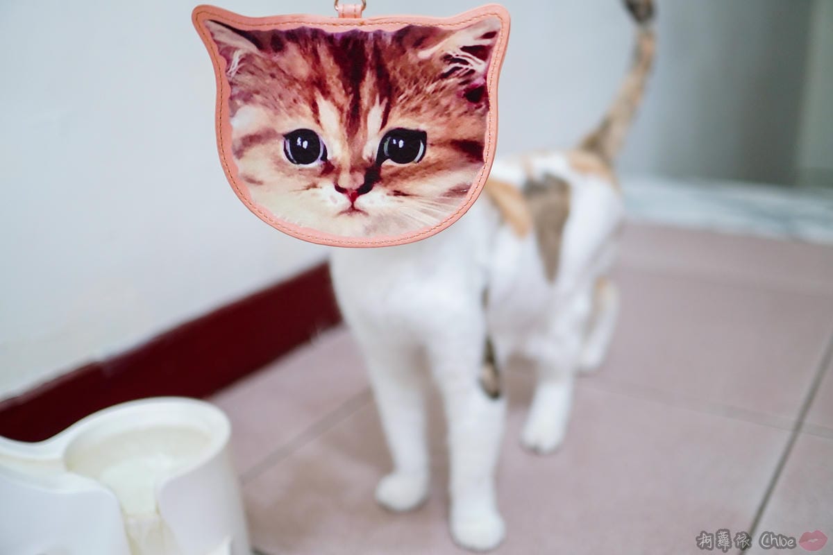 萌萌的貓頭!貓奴無法抗拒 VOGUE 5月號2019 隨書附贈PAUL %26; JOE SISTER貓咪造型伸縮吊牌8.jpg 萌萌的貓頭!貓奴無法抗拒 VOGUE 5月號2019 隨書附贈PAUL %26; JOE SISTER貓咪造型伸縮吊牌8.jpg