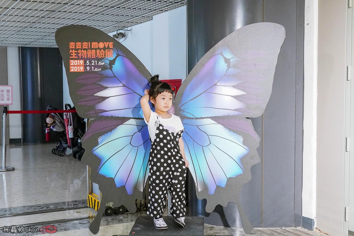 寶寶鞋推薦 開團 日本SkippOn兒童休閒機能鞋 好穿好脫 腳丫丫好透氣 by柯蘿依Chloe41.jpg 寶寶鞋推薦 開團 日本SkippOn兒童休閒機能鞋 好穿好脫 腳丫丫好透氣 by柯蘿依Chloe41.jpg