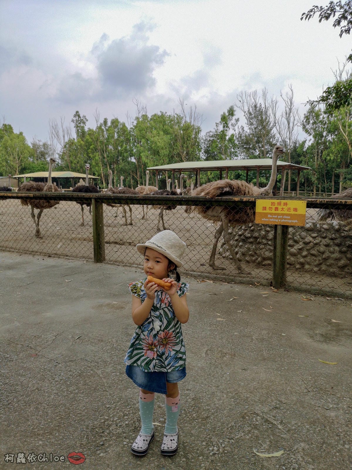 寶寶鞋推薦 開團 日本SkippOn兒童休閒機能鞋 好穿好脫 腳丫丫好透氣 by柯蘿依Chloe42.jpg 寶寶鞋推薦 開團 日本SkippOn兒童休閒機能鞋 好穿好脫 腳丫丫好透氣 by柯蘿依Chloe42.jpg