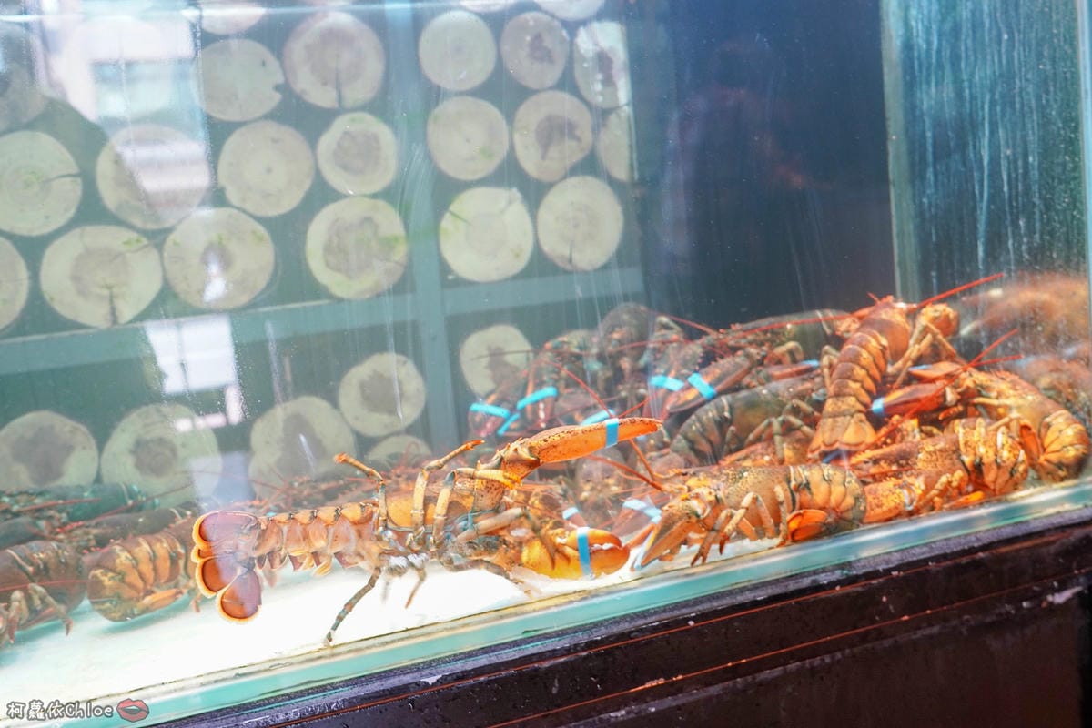 高雄火鍋 家庭聚餐推薦 和牛海鮮火鍋 澎湃浮誇系海鮮、巧克力和牛通通在舞古賀鍋物專門店 近瑞豐夜市3A.jpg 高雄火鍋 家庭聚餐推薦 和牛海鮮火鍋 澎湃浮誇系海鮮、巧克力和牛通通在舞古賀鍋物專門店 近瑞豐夜市3A.jpg