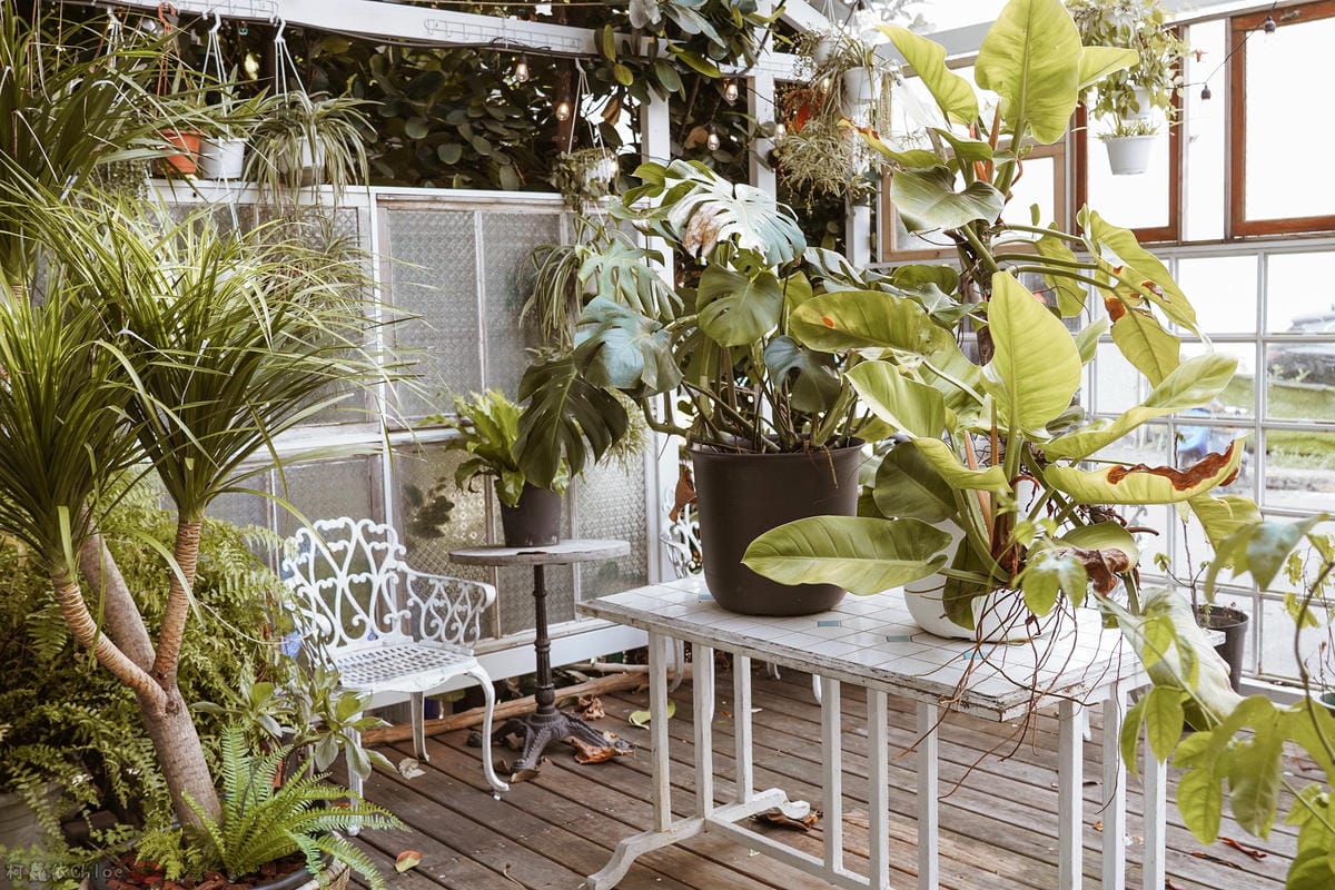 新竹金山絕美質感餐廳 Garden Party Restaurant 置身森林花園享受頂級肋眼牛排42.jpg 新竹金山絕美質感餐廳 Garden Party Restaurant 置身森林花園享受頂級肋眼牛排42.jpg