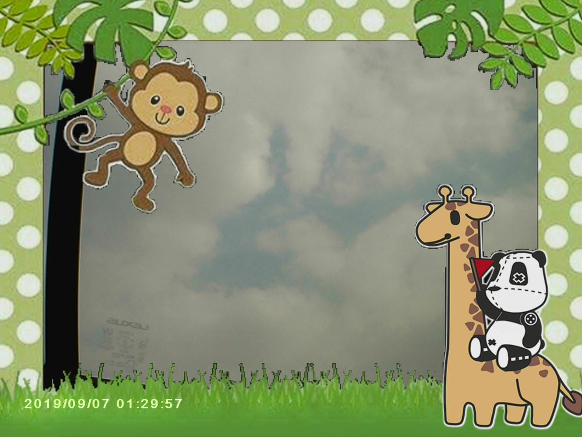 親子好物開箱 Bluemo 補丁熊貓 兒童防摔數位相機 從小培養攝影美感 紀錄孩子的視角48.jpg