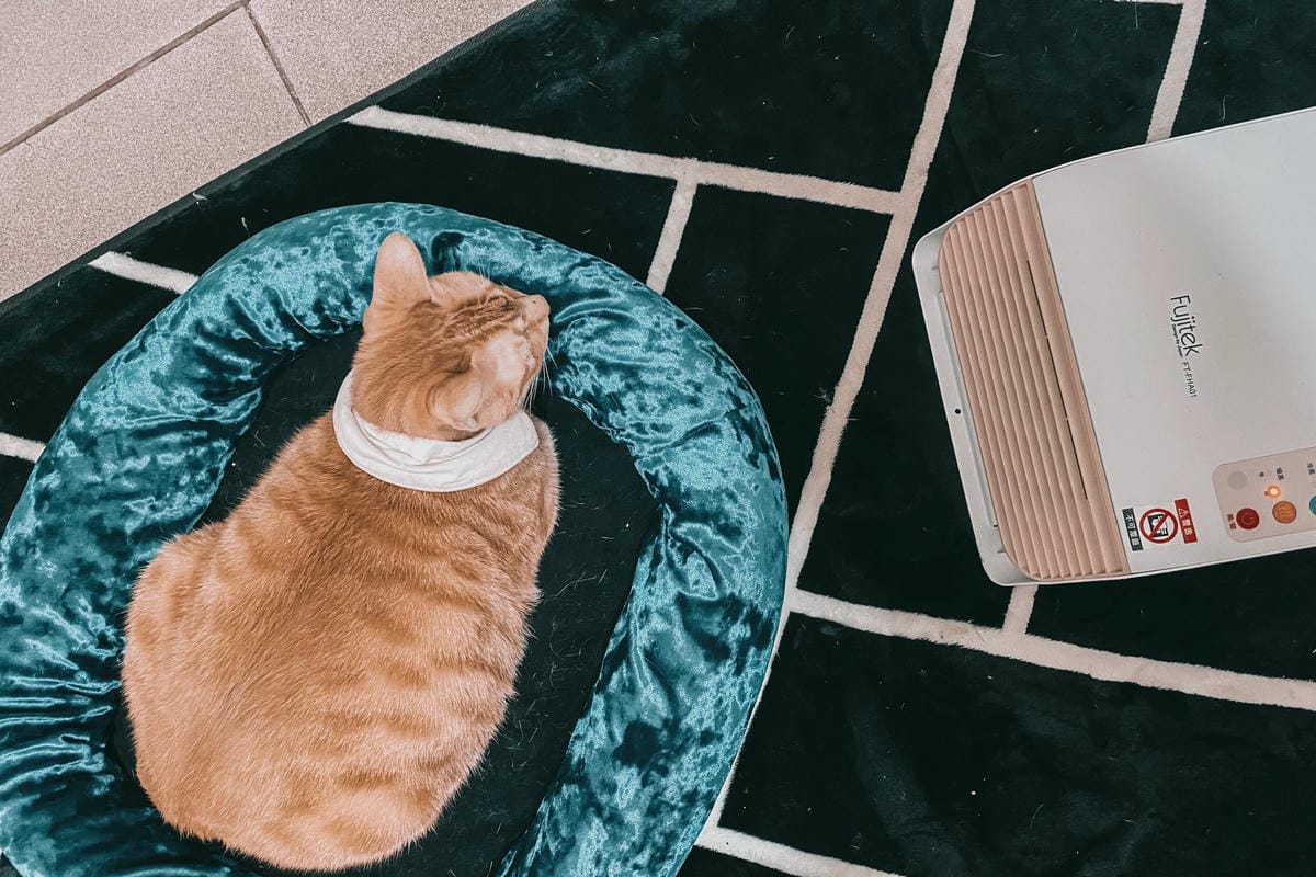 生活居家 Fujitek富士電通 居家浴室遙控陶瓷電暖器 冬日必備 可定時 冷暖風調節 輕巧便利使用26.jpg 生活居家 Fujitek富士電通 居家浴室遙控陶瓷電暖器 冬日必備 可定時 冷暖風調節 輕巧便利使用26.jpg