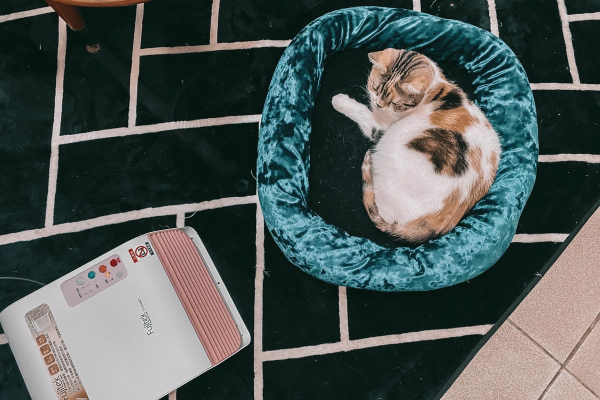 生活居家 Fujitek富士電通 居家浴室遙控陶瓷電暖器 冬日必備 可定時 冷暖風調節 輕巧便利使用27.jpg 生活居家 Fujitek富士電通 居家浴室遙控陶瓷電暖器 冬日必備 可定時 冷暖風調節 輕巧便利使用27.jpg